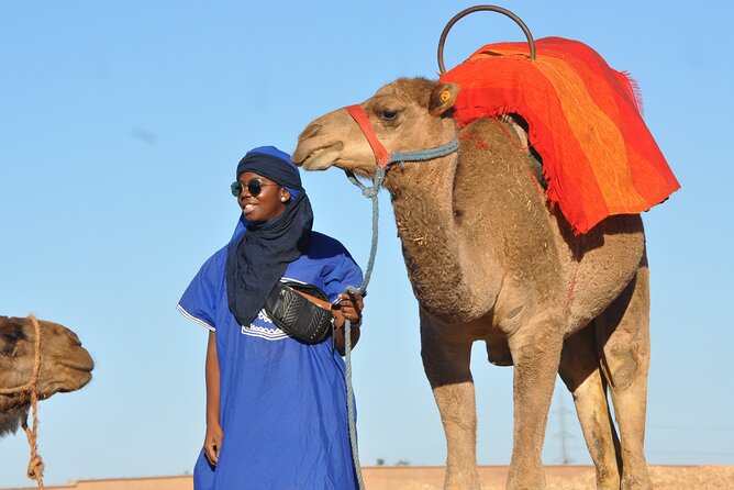 Marrakech: Camel Ride in the Palm Grove - Health and Safety Considerations
