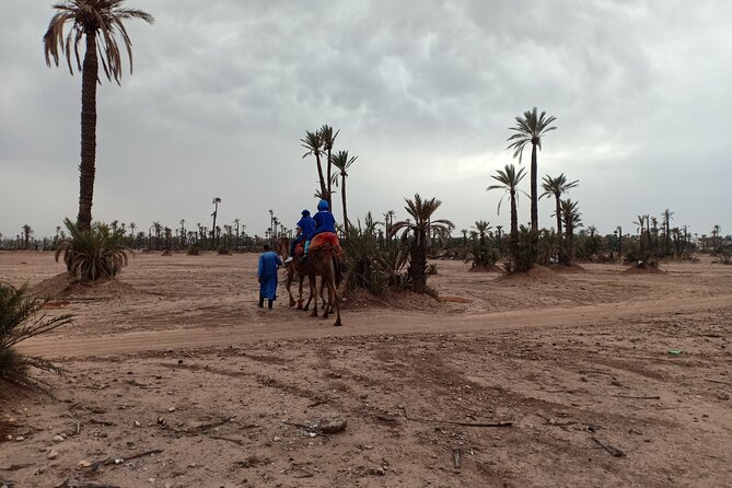 Marrakech Camel Safari at Agafay Desert - Camel Riding Experience