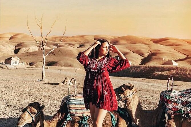 Marrakech: Sunset Dinner in Agafay Desert and Camel Ride - Group Size and Cancellation Policy