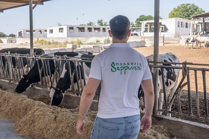 Masseria Seppunisi Tour - Mozzarella and Burrata Experience - Cheese-Making Process and Tasting