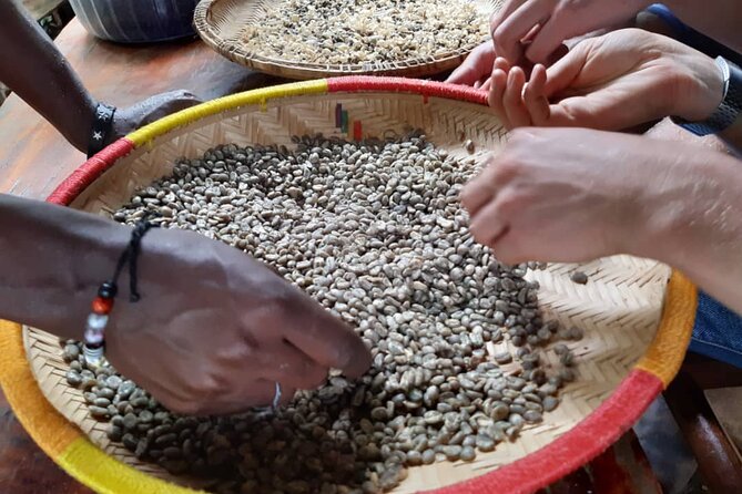 Materuni Day Trip - Highlights and Activities