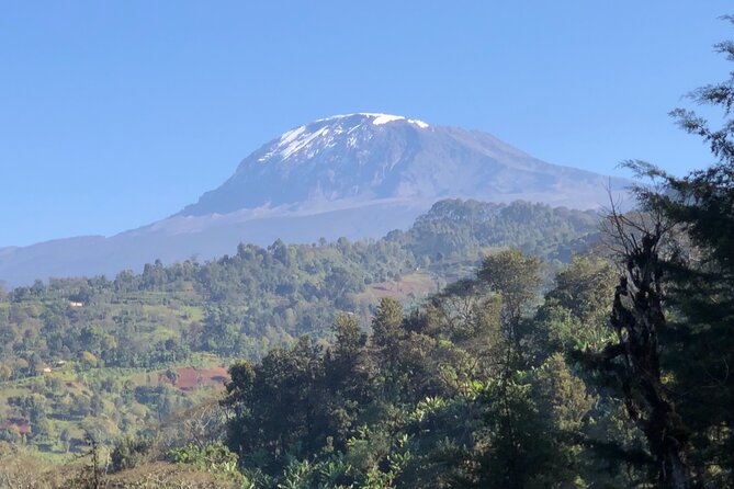 Materuni Waterfalls & Coffee Tour - Coffee Plantation Experience