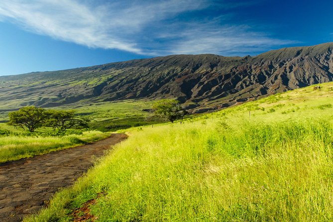 Maui Loop Road To Hana Audio Driving Tour - Accessibility Features