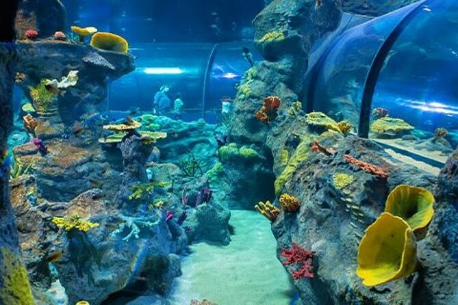 Mauritius Odysseo Oceanarium in Port Louis - Booking and Pricing Details