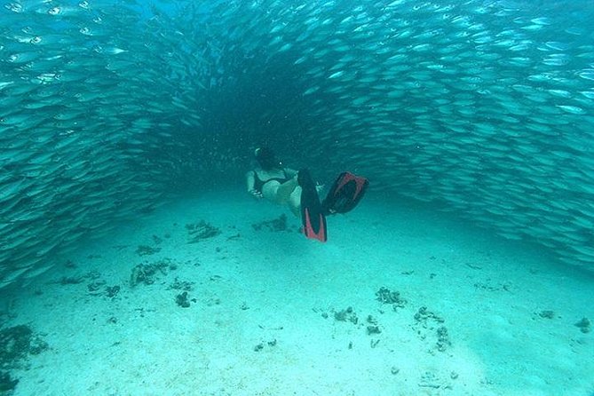 Mayan Adventure From Cancun - Marine Ecosystems Explored