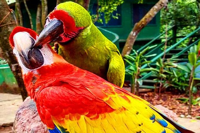 Mayan Eden Eco Wildlife Park, City Tour & Private Transfer - Mayan Eden Eco Park