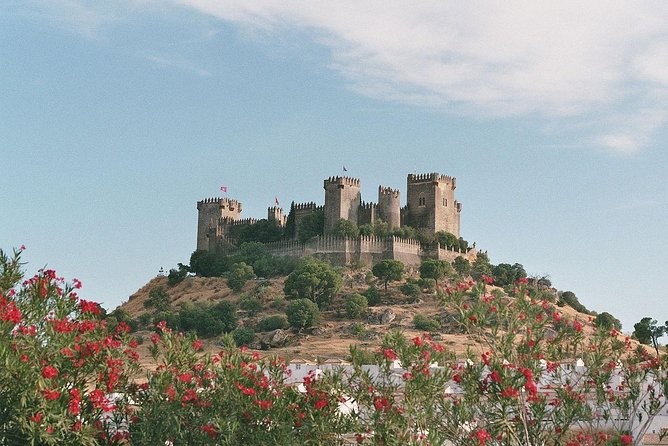 Medina Azahara and Almodovar Castle From Cordoba - Tips for Your Visit