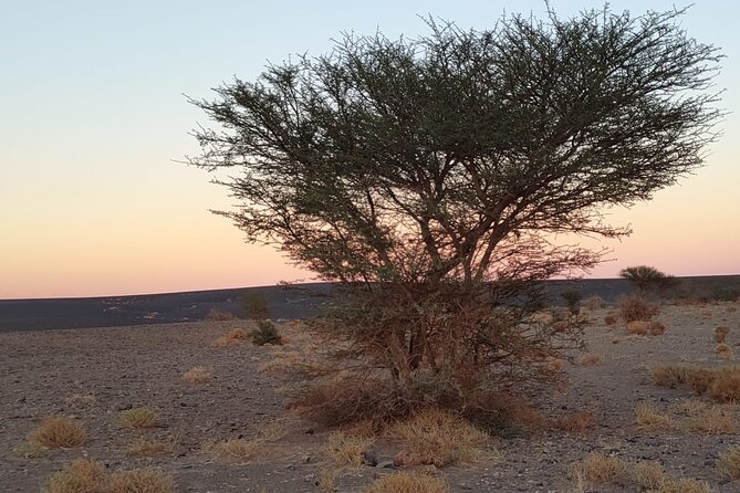 Merzouga Desert Tours -By 4x4 With Nomads Visit - Tour Experience Highlights