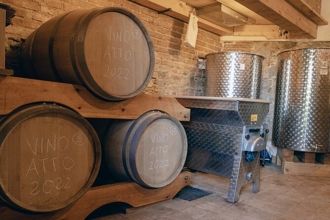 Messina Wine Tasting Experience - Discovering Stromboli