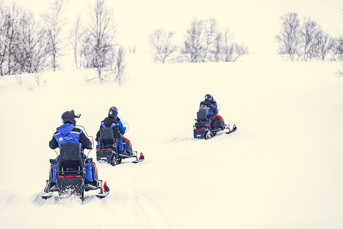Midday Snowmobiling in Camp Tamok With Guide - Tips for an Enjoyable Trip