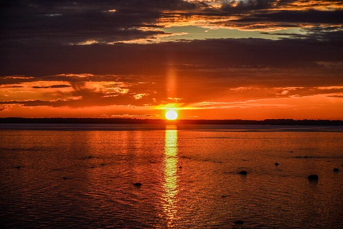 Midnight Sun Floating Experience in Forest Lake - Tour Rating