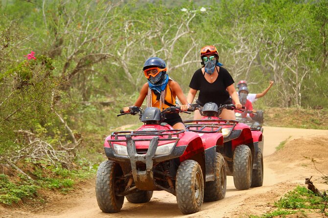 Migriño Beach ATV and Horseback Riding Experience - Customer Reviews and Feedback