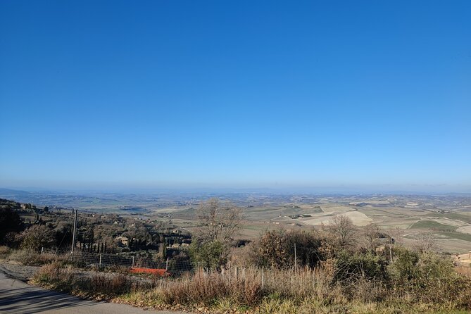 Montalcino, Trekking in the Vineyard, Enomusicale Tasting and Cacio Di Pienza! - Savoring Typical Tuscan Delights