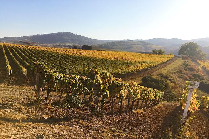 Montalcino Wine Tour Review: A Sipping Adventure - Cancellation Policy