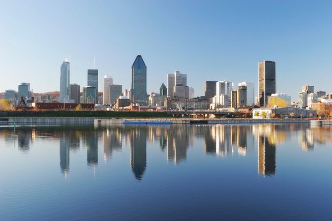Montreal City Sightseeing Tour With Live Commentary - Traveler Reviews and Feedback