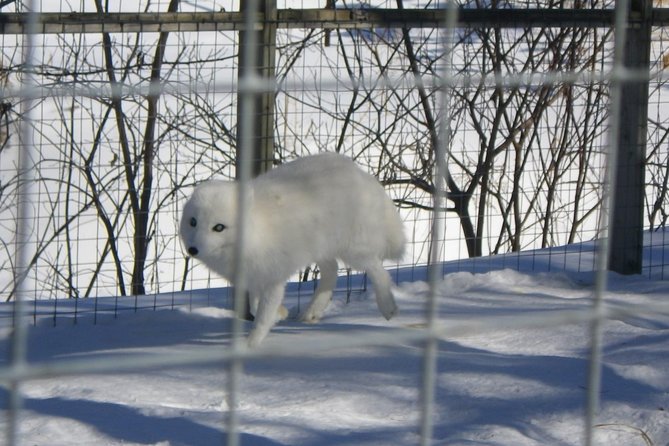Montreal Zoo, Private Half Day Tour - Inclusions