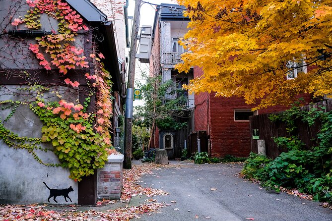 Montreals Plateau Mont-Royal and Mile End Tour by MTL Detours - Traveler Experience and Feedback