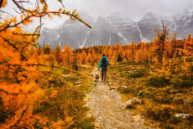 Moraine Lake: Larch Valley Hike, Departure From Lake Louise - Itinerary
