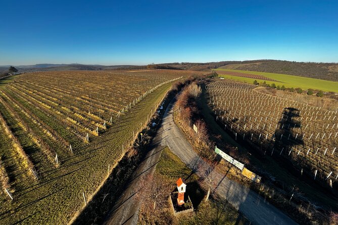 Moravian E-Bike & Wine Day Trip From Brno - Wine Tasting Experience