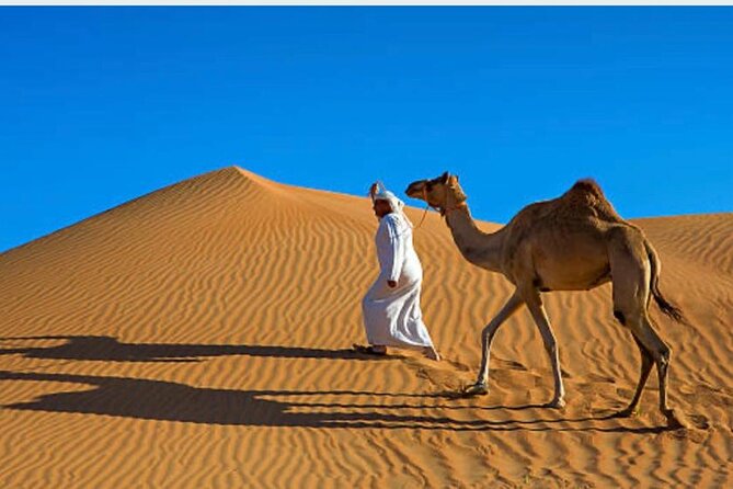 Morning Desert Safari With Camel Ride and Quad Bike - What to Expect