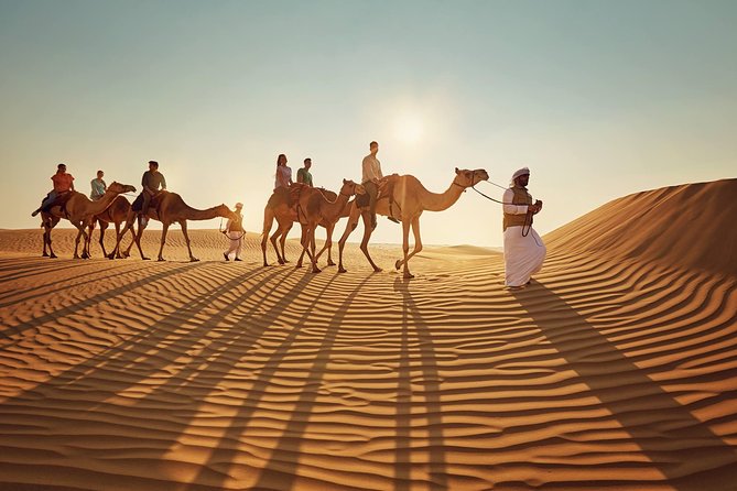 Morning Desert Safari With Quad Bike Tour Abu Dhabi - Customer Reviews and Feedback