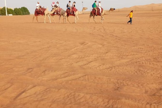 Morning Desert Safari With Sand Boarding and Dune Bashing - Safety Guidelines