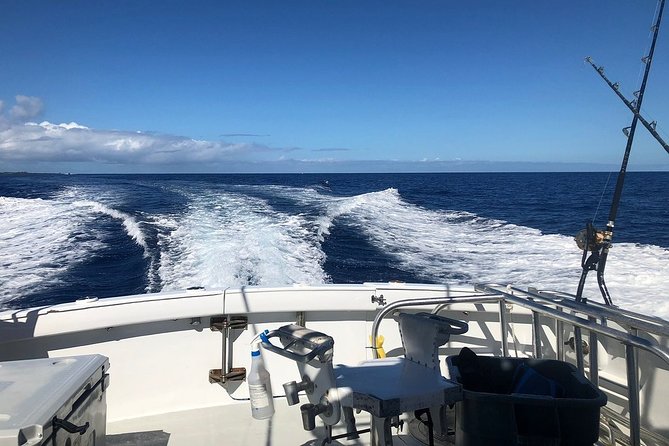 Morning Reef Snorkel - Logistics and Inclusions of the Tour