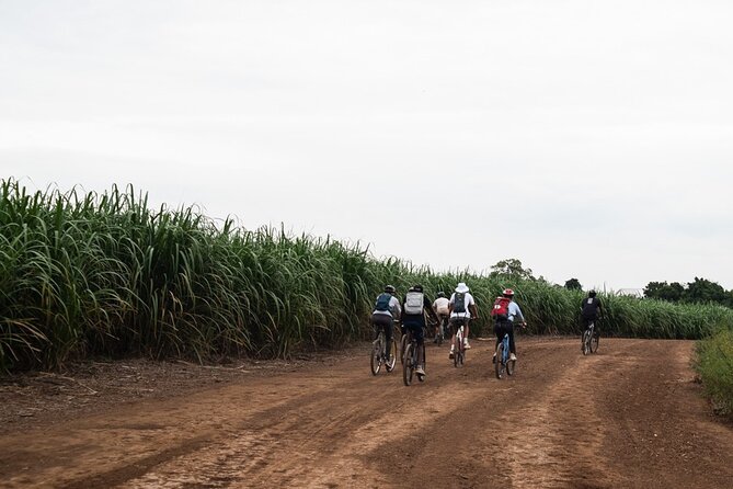 Moshi City Bike Day Trip - Schedule and Operating Hours