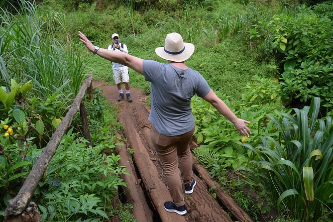 Mount Kilimanjaro Day Trip Trekking - Health and Safety Considerations