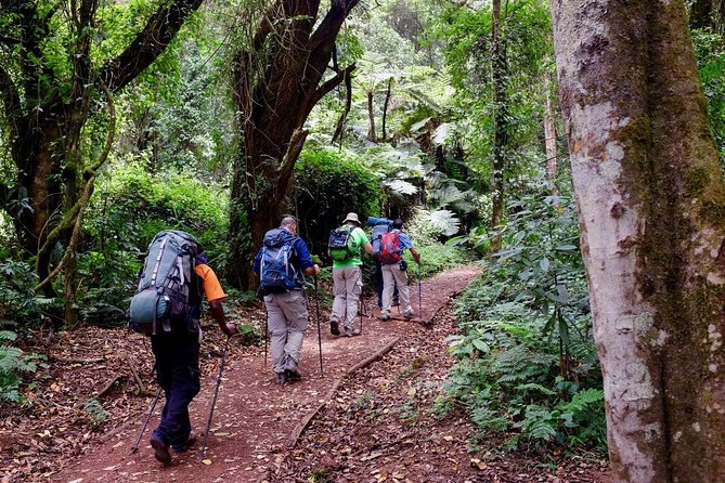 Mount Kilimanjaro Trek 7-Days: Lemosho Route - Preparation and Fitness