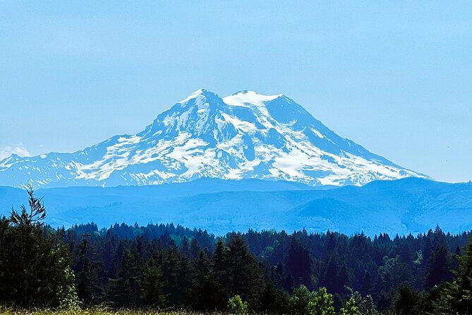Mount Rainier Customized Tour From Seattle - Reviews and Feedback