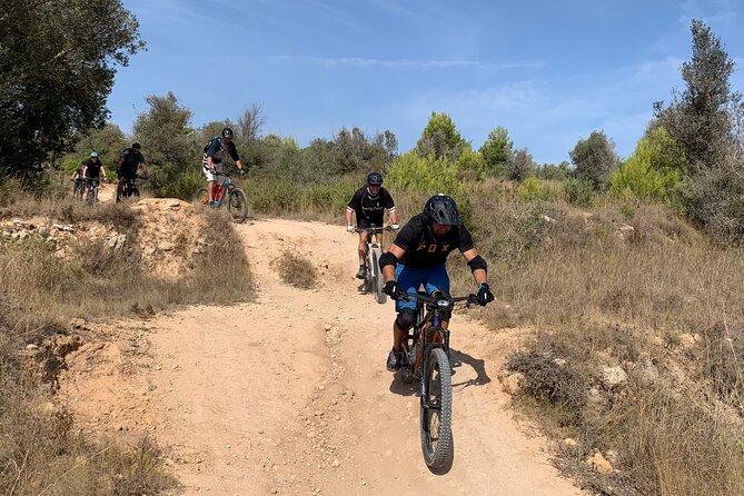 Mountain Bike Tour Font De La Mata - Pricing Information