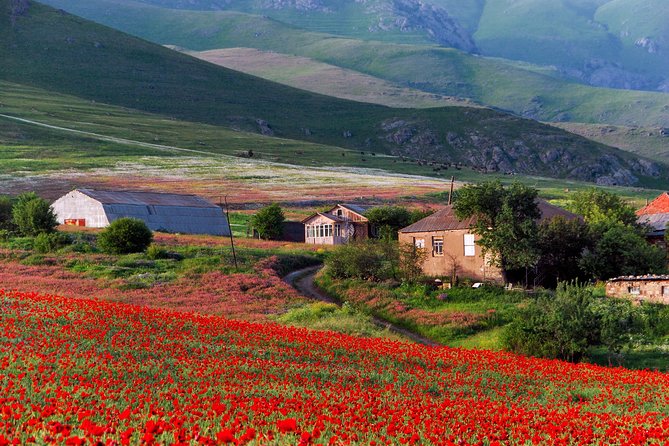 Mtskheta,Jvari,Gori,Uplistikhe(Private Tour) - Terms and Conditions