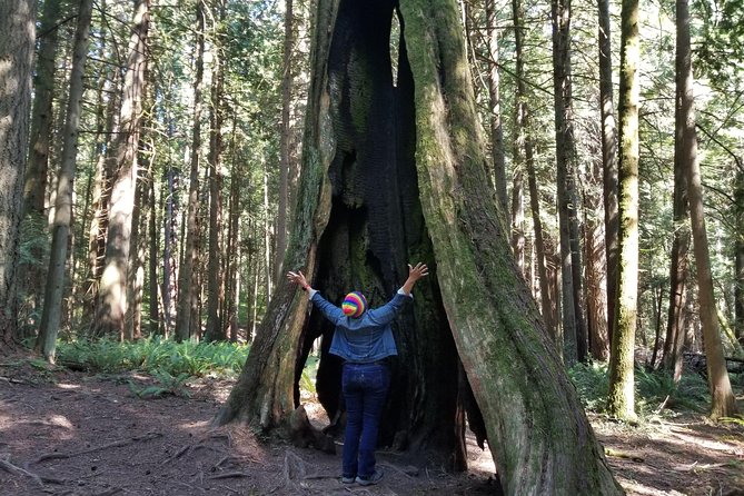 Mystical Rainforest Tour - Forest Magick - Reviews and Feedback