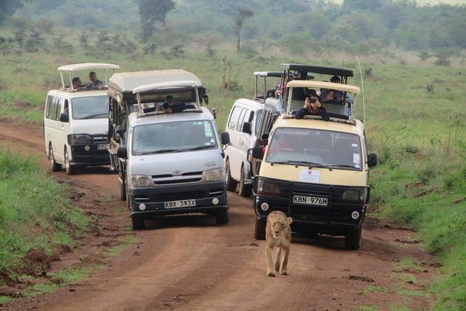Nairobi National Park, Sheldrick Elephant, Giraffe Centre Tour - Wildlife Encounters and Sightings