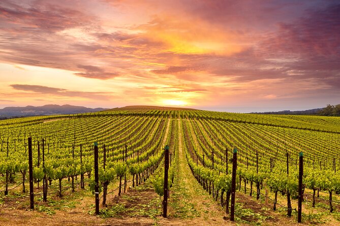 Napa or Sonoma Private Wine Tour From San Francisco - About the Experience