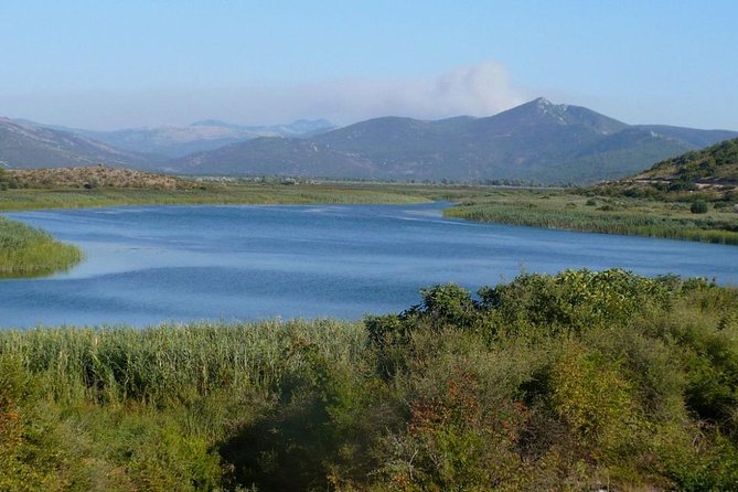 National Bird Reserve Hutovo Blato Photo Safari - Wetland Ecosystem