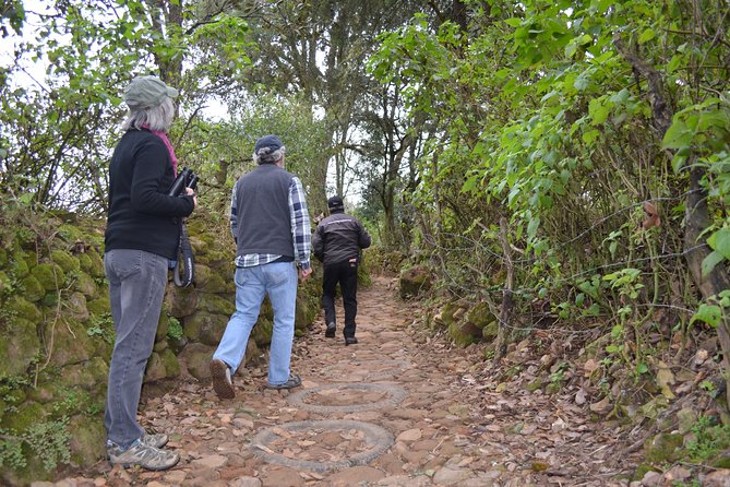 Nature Walk - Bufa Hill or Santa Rosa Area - Expectations and Accessibility