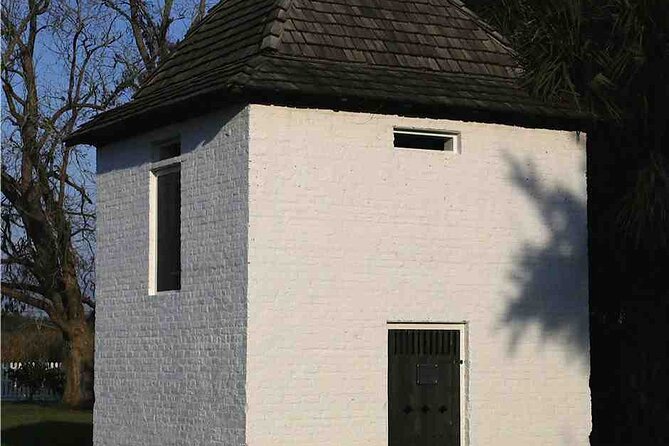 N'Awlins Luxury: Double Plantation Whitney & Oak Alley With Transportation - Accessibility Features
