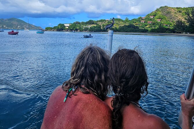 Nevis Island Road Trip - Navigating Nevis Diverse Landscapes