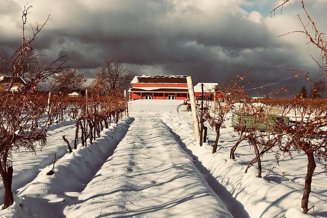 Niagaras Decadent Sparkling and Icewine Tasting - Pricing Details