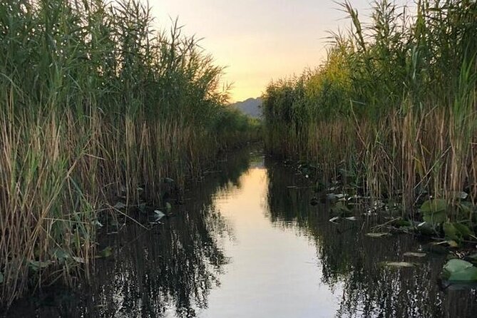 Noahs Ark Skadar Lake Journey - Highlights of the Experience