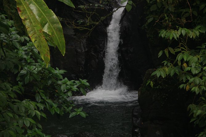 North Caribbean Tour in Martinique - Booking Information