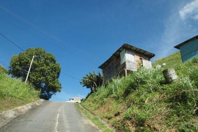 North Coast Mountain Tour & Maracas Beach Stop - Pricing and Availability