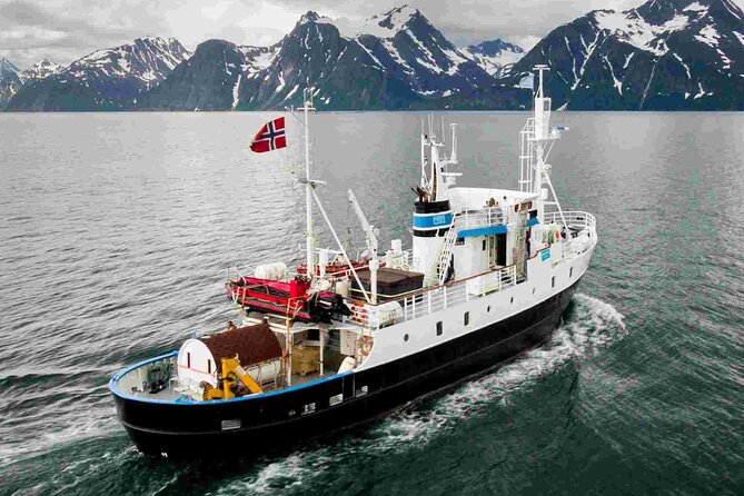Northern Light Cruise on the Vintage Vessel MS Strønstad - Booking and Cancellation Policies