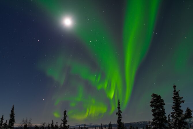Northern Lights Adventure of a Liftetime From Anchorage - Potential Disappointments and Mixed Reviews