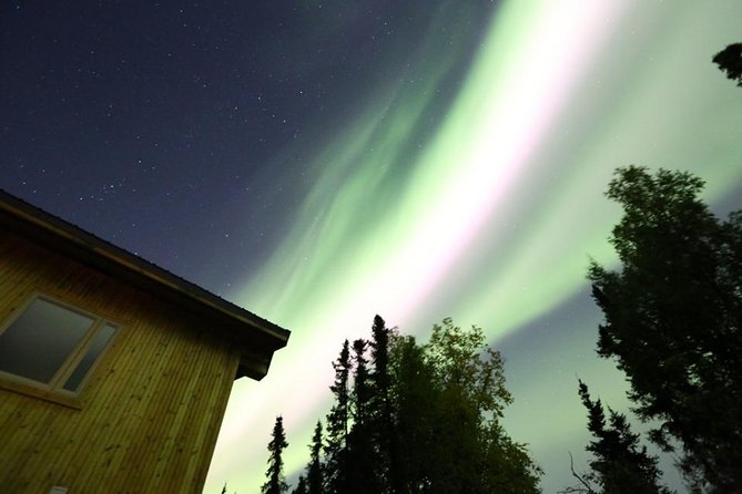 Northern Lights Experience and Cabin Dinner - Tips for a Great Experience