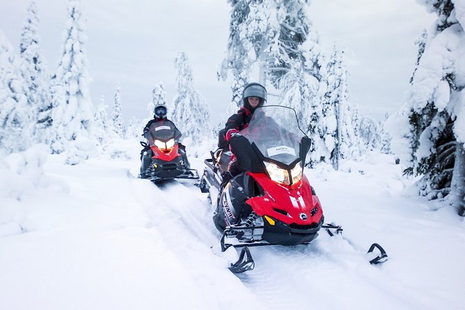 Northern Lights Snowmobile Driving Safari in Kemi - Seeking the Northern Lights