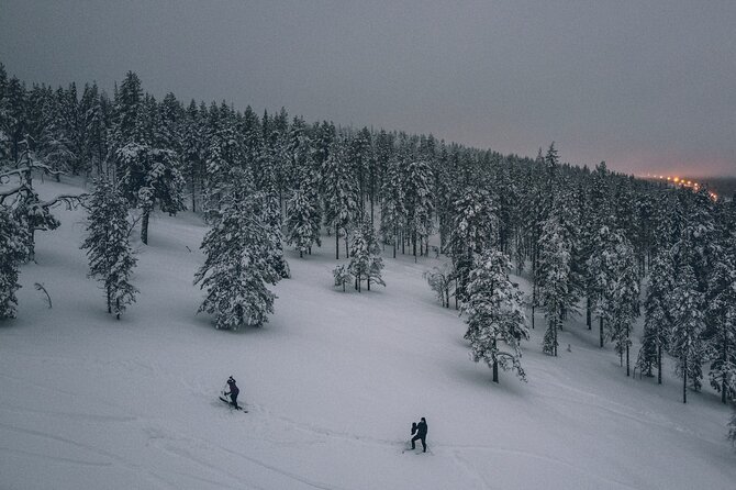 Northern Lights Tour With Skis Or Snowshoes in Pyhä - Tour Highlights