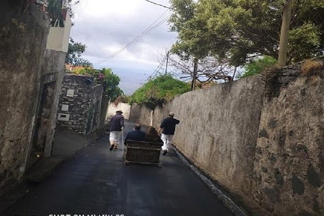 Nuns Valley/Monte With Sledge Ride. - Pricing Transparency